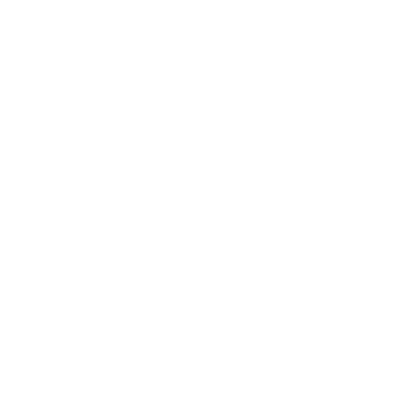 NoirÉlan logo