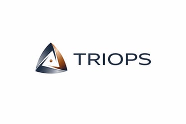 BirleşimVizyon logo