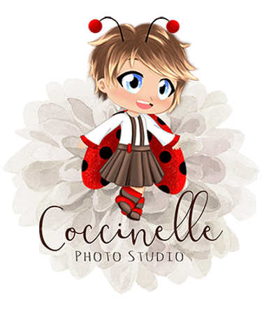 Coccinelle Studio logo