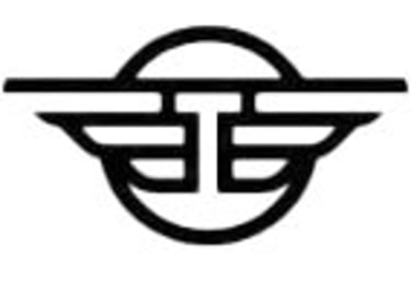 T's Smart Store logo