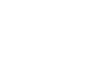 Elan Journal logo