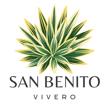 Vivero San Benito logo