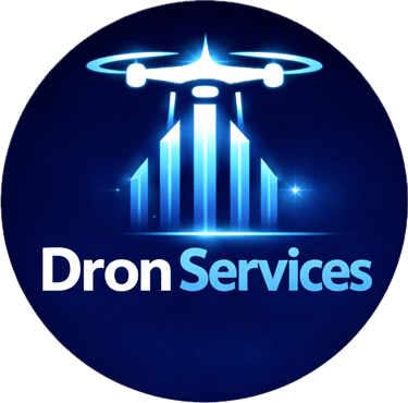 DronServices logo