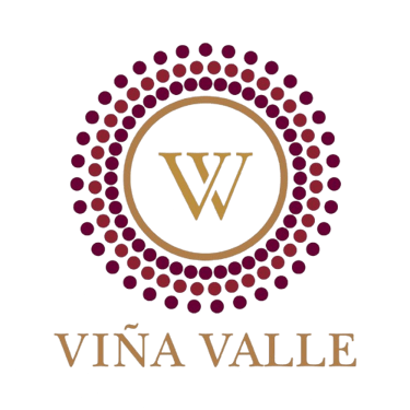 Viña Valle logo