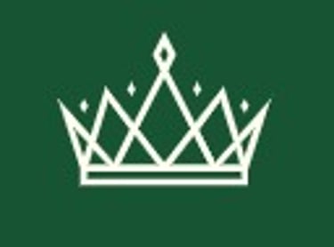 WINDSOR STORE logo