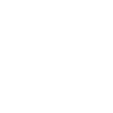 logotipo blanco true performance