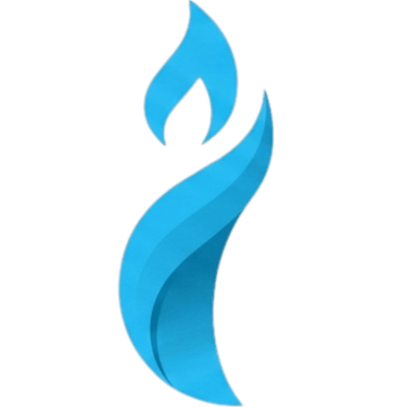 IgniteNest logo