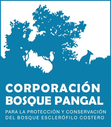 Bosque Pangal logo
