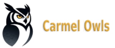 Carmel Owls logo