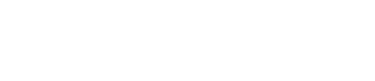 Neofaces logo
