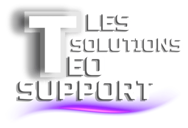 Les Solutions Teo Support logo
