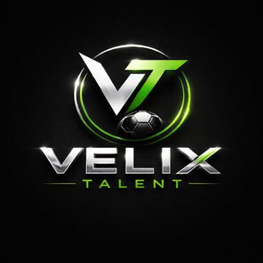 Velix Talent logo