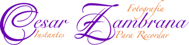 LuzVioleta logo