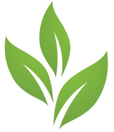 Kvaliteetsed istikud. Istandiku planeerimine. Taimepass. logo