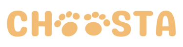 Choosta logo