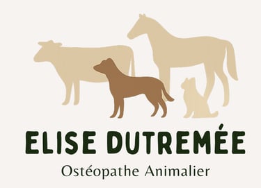 Elise Dutremée Ostéopathe animalier logo