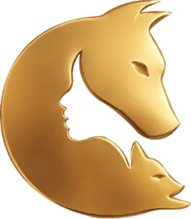 Veterinária Dra. Zi logo