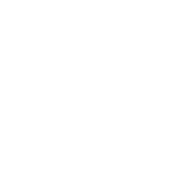 mindspeed your business logo