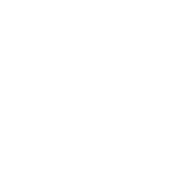 mindspeed your business logo