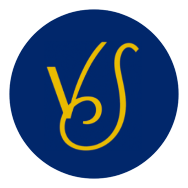 Velvet Studios logo