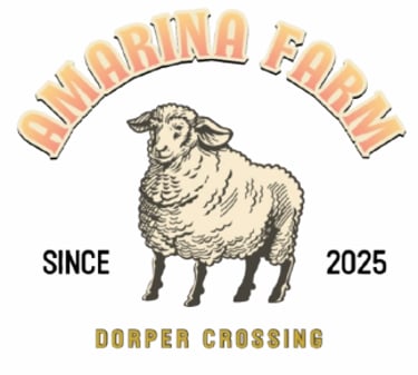 DorperNusa logo