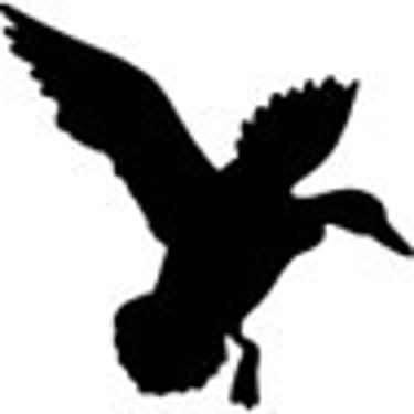 Daniels Landscaping & Design logo