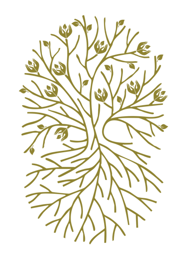 Akarasa logo
