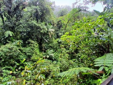 Arnaud Le Résilient logo