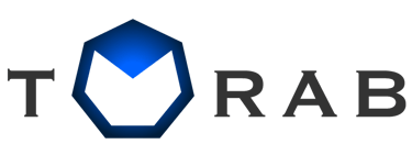 Consultoría Desarrollo y Soporte TORAB logo