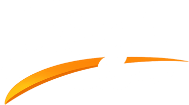 Singh Enterprises logo