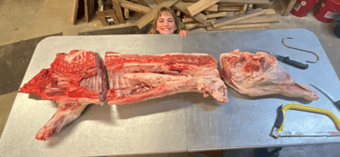 A smiling girl stands behind a table of fresh raw pork primal cuts during a home butchering session.