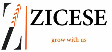 ZICESE logo