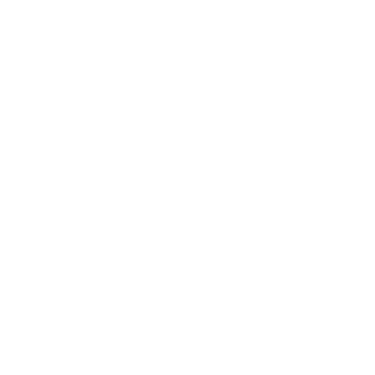 Skybox Strategies logo