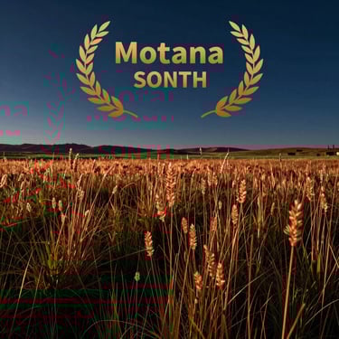 A landscape photograph of a Montana prairie during golden hour, with tall grass reflecting copper light against a navy blue horizon.