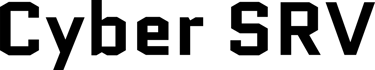 Cyber SRV logo
