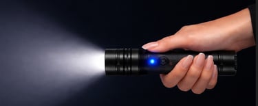 Natural Disaster: Day One logo