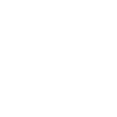 Baja Soul Experiences logo