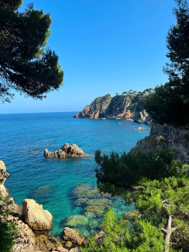 Vue panoramique sur la mer Méditerranée et une côte sauvage, illustrant la recherche d'une résidence