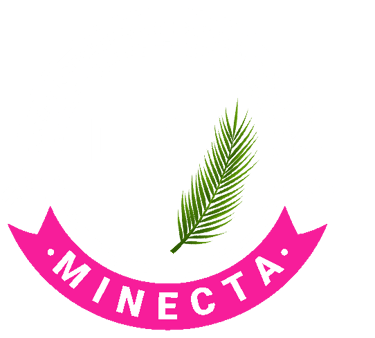 MINECTA logo
