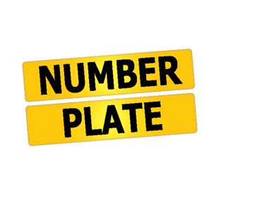 The Number Plate Shop - DVLA Registered number plate supplier. - Steeton logo