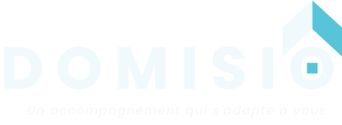 Domisio logo