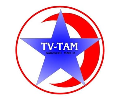 TV TAM WEB logo