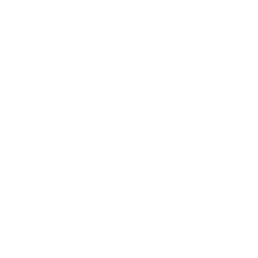 Instituto i9c logo