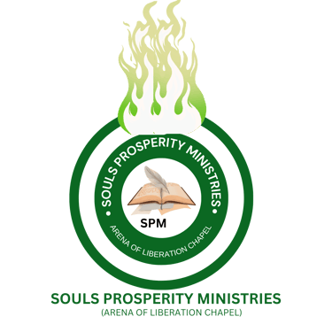 SoulVista logo