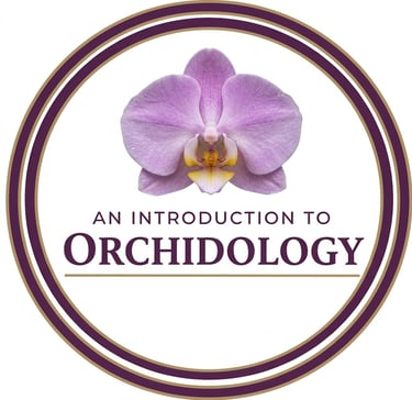 OrchidGallery logo