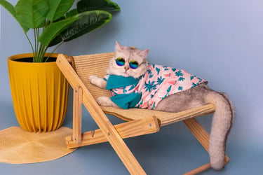 Gatito con lentes de sol, playera veraniega verde y rosa