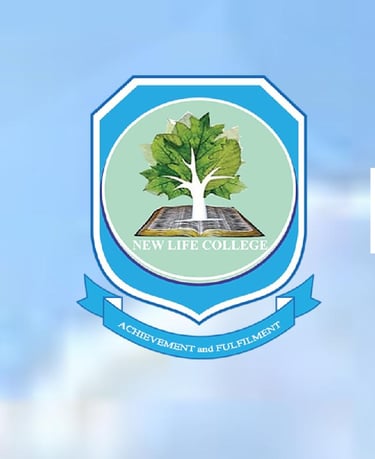 Erdvėja logo