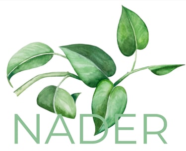 Nader | mobiele psycholoog kinderen, jongeren en gezinnen logo