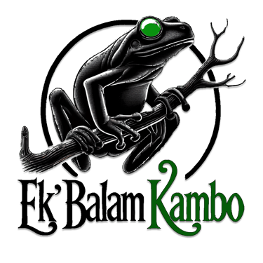 Despierta Sanamente logo