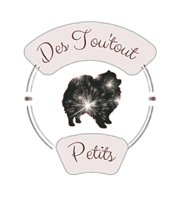 Des Tou'tout Petits logo
